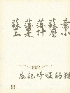 苏落落苏意瑶睿王是什么小说封面