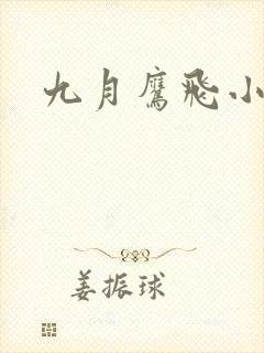 九月鹰飞小说封面