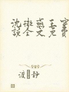 沈微燕王穿越小说全文免费阅读封面