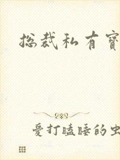 总裁私有宝贝