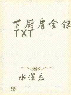 下厨房金银花露 TXT封面