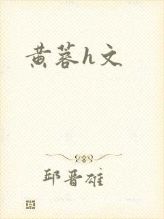 黄蓉h文封面