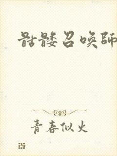 骷髅召唤师