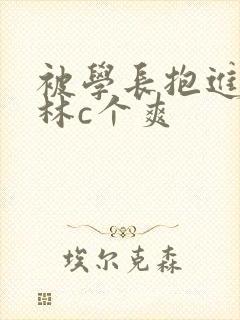 被学长抱进小树林c个爽封面