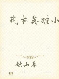 我本英雄小说封面