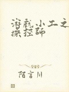 游戏小工之元素操控师封面