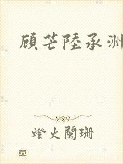 顾芒陆承洲封面