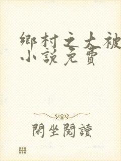 乡村之大被同眠小说免费