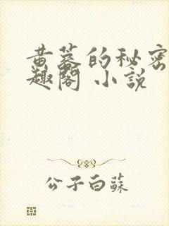黄蓉的秘密 笔趣阁 小说