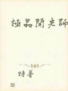 极品开光师
