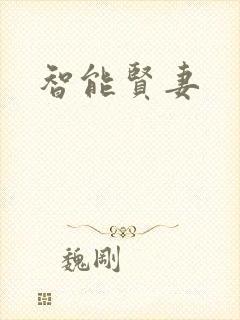 智能贤妻