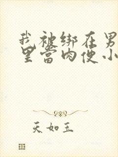 我被绑在男公厕里当肉便小说