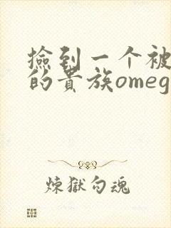 捡到一个被抹布的贵族omega