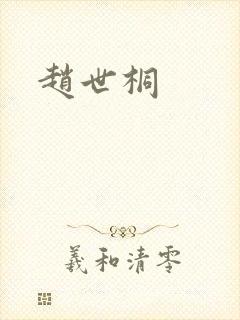 赵世桐封面