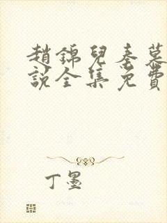 赵锦儿秦慕修小说全集免费封面