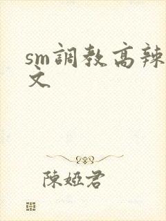 sm调教高辣h文