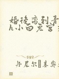 婚后脔到青梅哭h小白兔宫交h