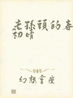 老孙头的春天林初晴封面