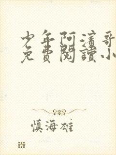 少年阿滨哥全文免费阅读小说封面
