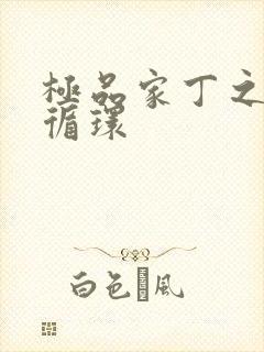 极品家丁之因果循环