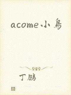 acome小鸟封面