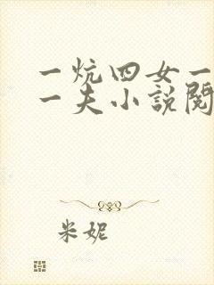 一炕四女一共侍一夫小说阅读