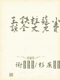 王铁柱苏小汐小说全文免费阅读最新章节