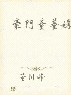 豪门童养媳封面
