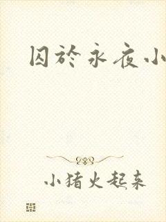 囚于永夜小说