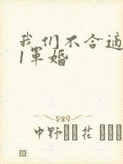 我们不合适1v1军婚