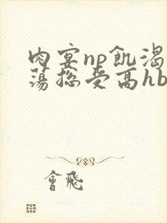 肉宴np饥渴放荡总受高hbl封面