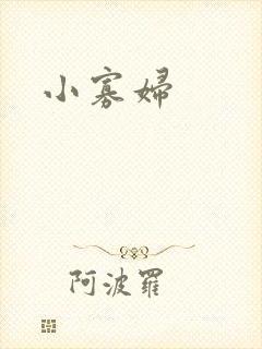 小寡妇封面