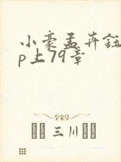 小豪孟卉钰慧三p上79章