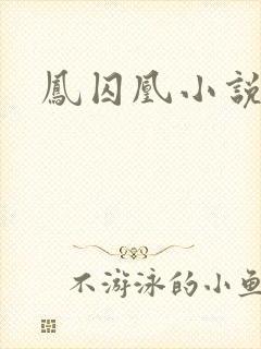 凤囚凰小说