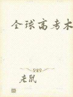 全球高考木苏里