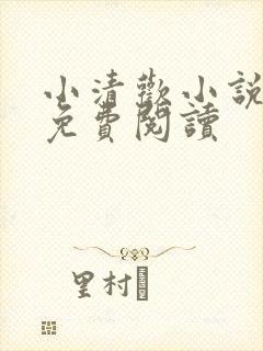 小清欢小说全文免费阅读