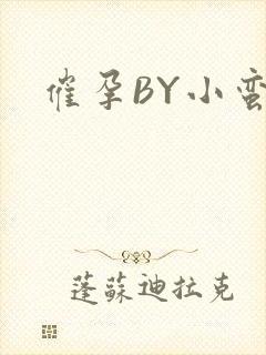 催孕BY小蛮腰