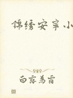 锦绣安宁小说