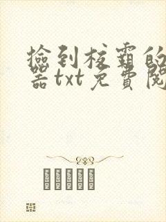 捡到校霸的遥控器txt免费阅读封面