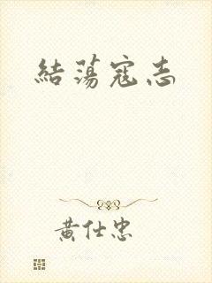 结荡寇志封面