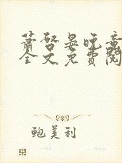 萧启晏晚意小说全文免费阅读