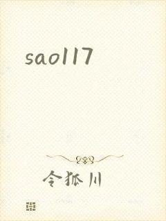 sao117封面
