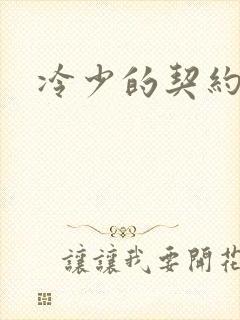 冷少的契约囚奴