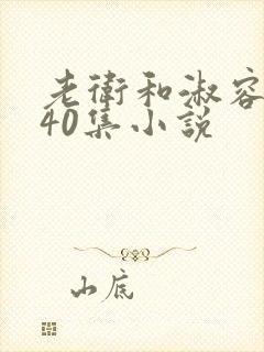 老卫和淑容1-40集小说封面