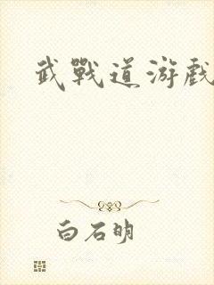 武战道游戏
