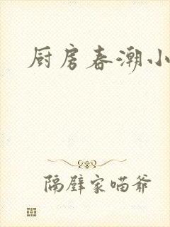 厨房春潮小说