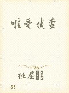 唯爱侦查