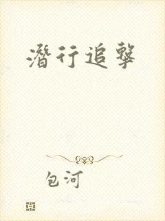 潜行追击