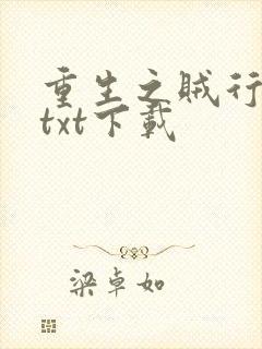 重生之贼行天下txt下载