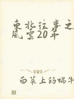 东北往事之黑道风云20年
